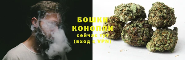 a pvp Горнозаводск