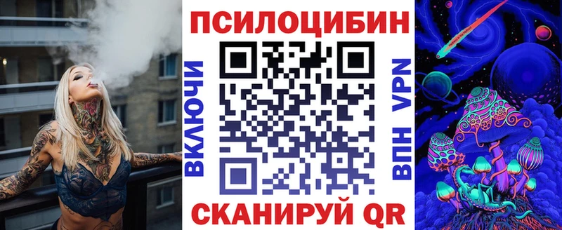 Купить где  Онега  Псилоцибиновые грибы Psilocybe 