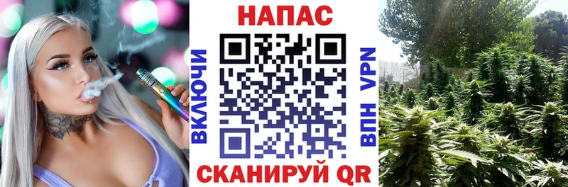 Шишки марихуана MAZAR Онега